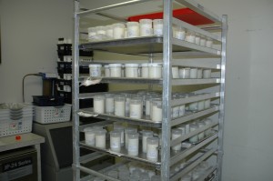 Milk Donations